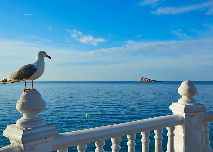 Refugio Raco Del Conill - Mountain, Beach & Spa